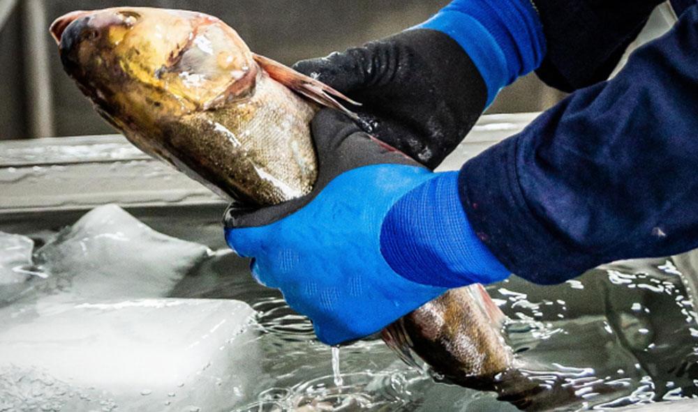 دستکش ماهیگیری