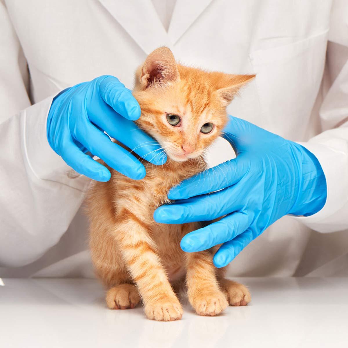 خرید دستکش دامپزشکی