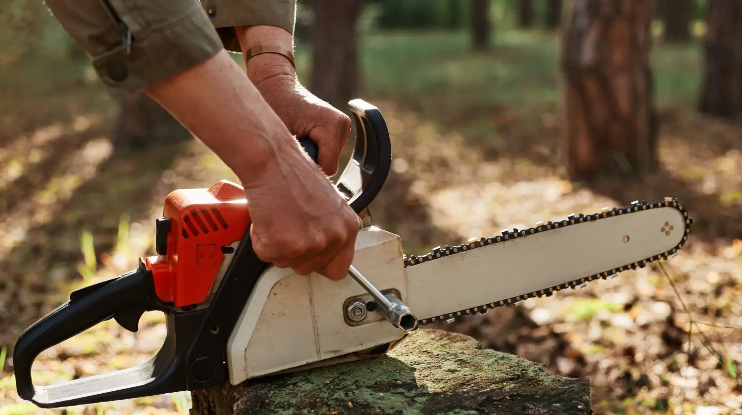 بهترین اره برقی‌های کوچک